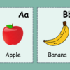 Fruits Alphabet Kids Vocabulary Flashcards