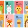 Animal Alphabet Kids Vocabulary Flashcards
